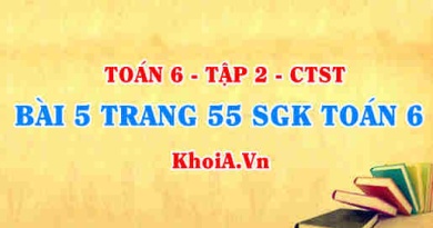 Bài 5 trang 55 SGK Toán 6 Tập 2 Chân trời sáng tạo